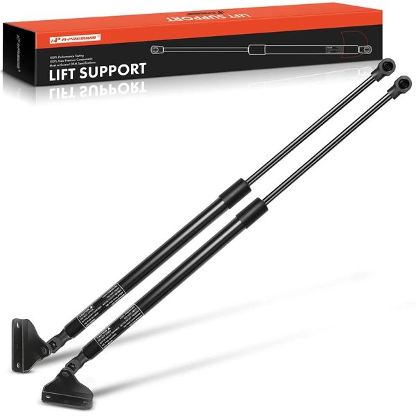 2 Pcs Rear Tailgate Lift Supports Shock Struts for 2018-2021 Nissan Kicks