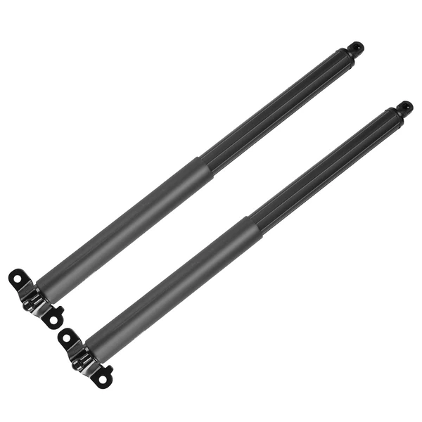 2 Pcs Rear Tailgate Lift Supports Shock Struts for Mercedes W164 ML-Class 2006-2011