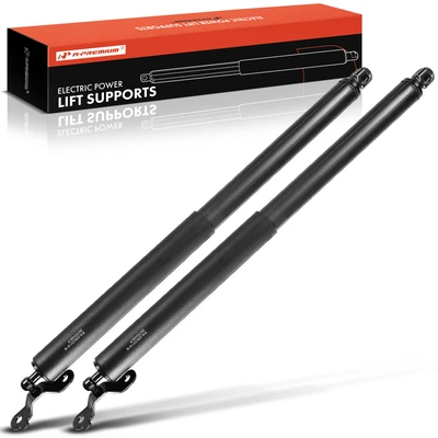 2 Pcs Rear Tailgate Lift Supports Shock Struts