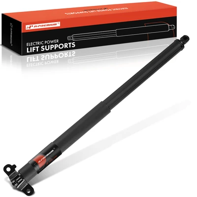 Rear Tailgate Passenger Lift Support Shock Strut