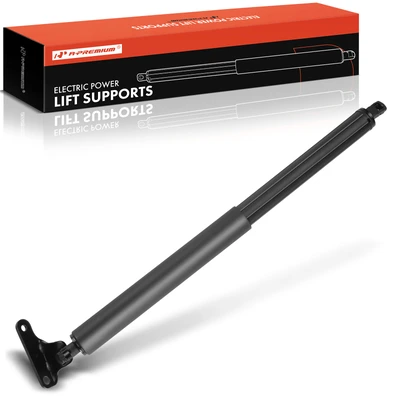 Rear Tailgate Passenger Lift Support Shock Strut
