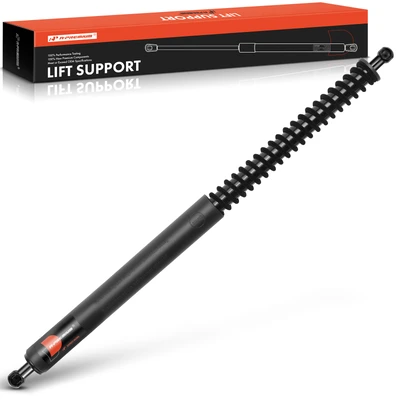 Rear Passenger Trunk Lift Support
