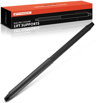 Rear Tailgate Passenger Lift Support Shock Strut