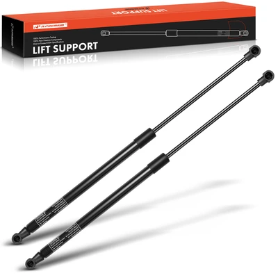 2 Pcs Rear Tailgate Lift Supports Shock Struts