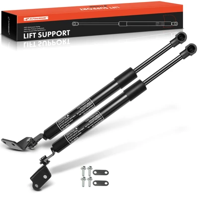 2 Pcs Rear Tailgate Lift Support Shock Struts