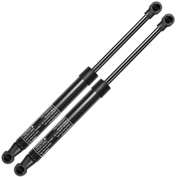 2 Pcs Rear Trunk Lift Supports Shock Struts for 2004-2006 INFINITI G35