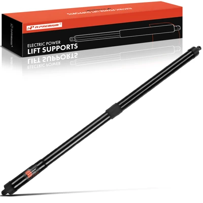 Rear Tailgate Passenger Lift Support Shock Strut