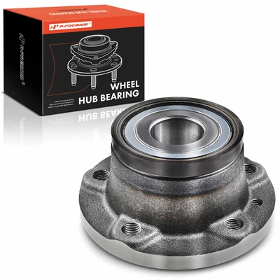 Rear Wheel Bearing & Hub Assembly