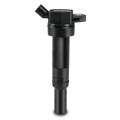 Ignition Coil with 2 Pins