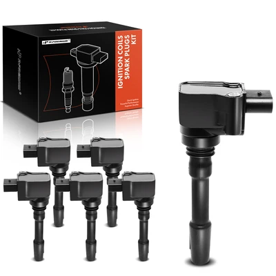 6 Pcs Black Ignition Coils
