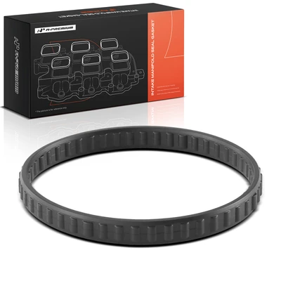 Fuel Injection Plenum Gasket