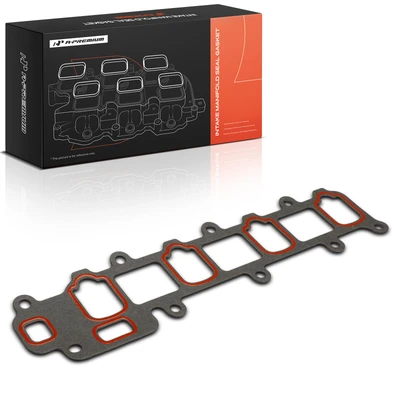 Lower Engine Intake Manifold Gasket