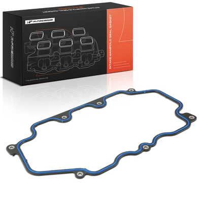 Fuel Injection Plenum Gasket