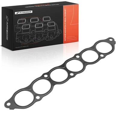 Fuel Injection Plenum Gasket
