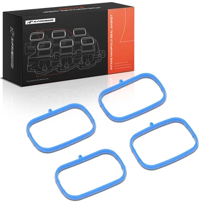 Lower Engine Intake Manifold Gasket