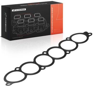 Lower Fuel Injection Plenum Gasket