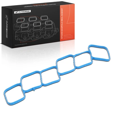 Fuel Injection Plenum Gasket