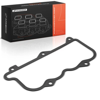 Fuel Injection Plenum Gasket