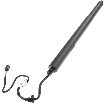 Rear Driver Power Hatch Lift Support