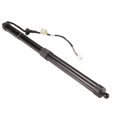 Rear Tailgate Passenger Power Lift Supports with Power Opener