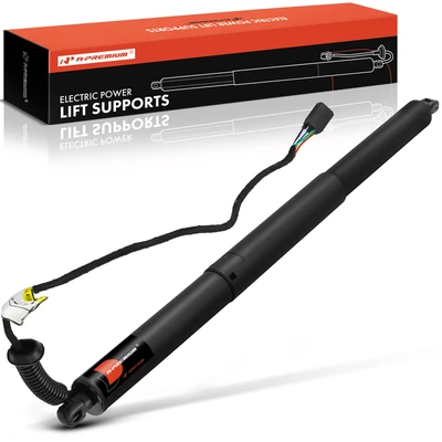 Rear Driver Power Hatch Lift Support
