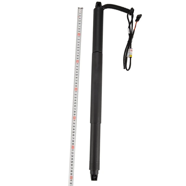 2 Pcs Rear Tailgate Power Hatch Lift Support for BMW X4 F26 2015-2018