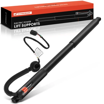 Rear Driver Power Hatch Lift Support