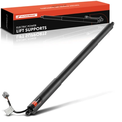 Rear Driver or Passenger Tailgate Power Hatch Lift Support