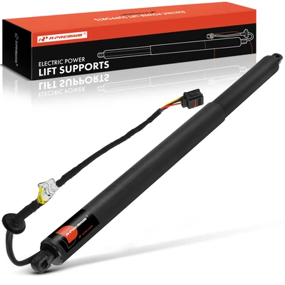 Rear Tailgate Power Hatch Lift Support