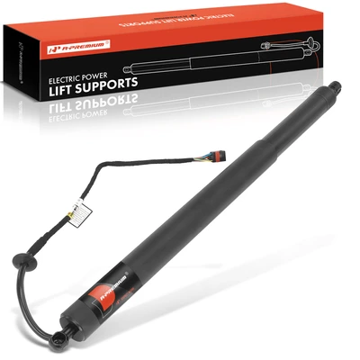 Rear Tailgate Driver Power Lift Supports with Opener