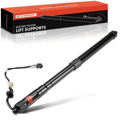 Rear Tailgate Driver or Passenger Power Hatch Lift Support