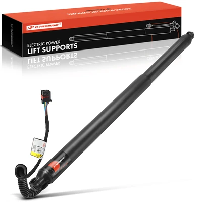 Rear Passenger Power Hatch Lift Support