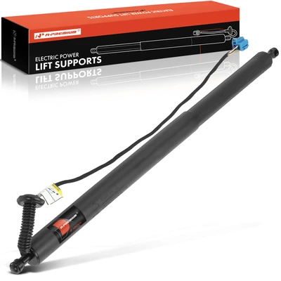 Rear Driver Power Hatch Lift Support