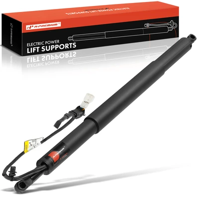 Rear Passenger Electric Power Hatch Lift Support