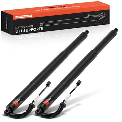 Pair Rear Liftgate Power Hatch Lift Support