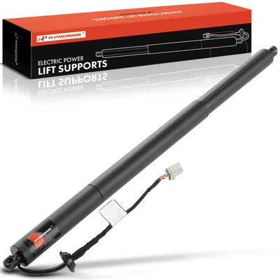 Rear Driver Tailgate  Power Lift Support Strut