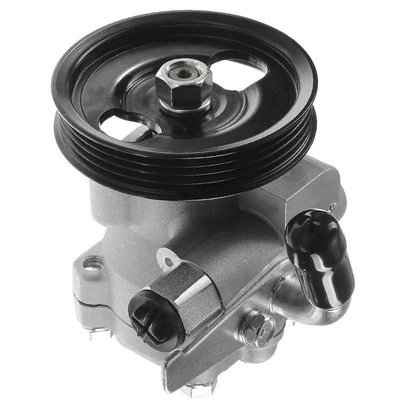 Power Steering Pump with Pulley