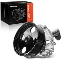 Power Steering Pump with Pulley