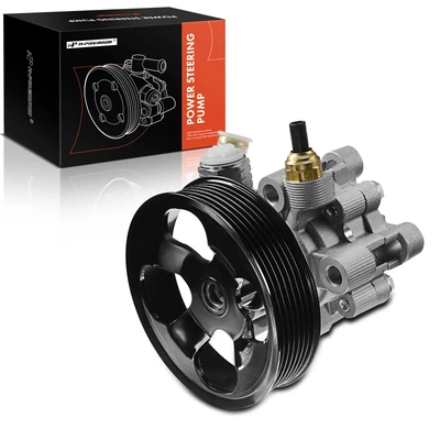 Power Steering Pump with Pulley