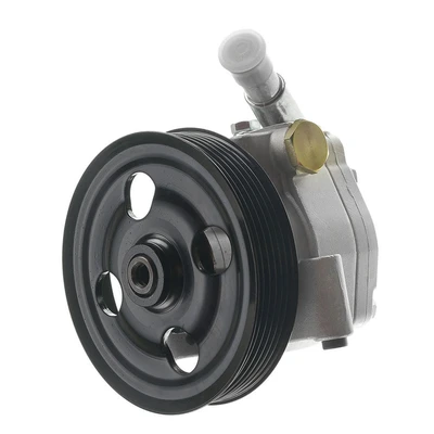 Power Steering Pump with Pulley