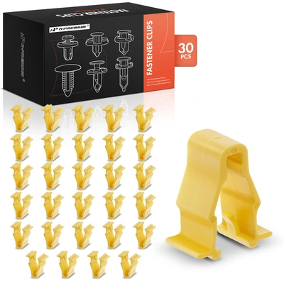 30 Pcs Nylon Front Bumper Fender Retainer Clips