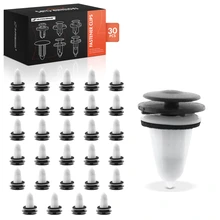30 Pcs Nylon Windshield Cowl Grille Clips with Sealer