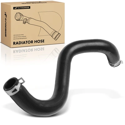 Lower Engine Radiator Hose