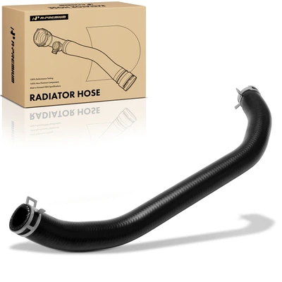 Lower Engine Radiator Hose