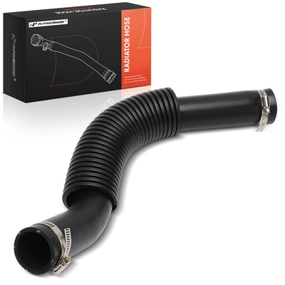 Lower Radiator Hose