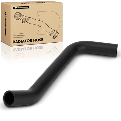 Lower Radiator Hose