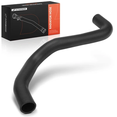 Lower Radiator Coolant Hose