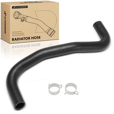 Lower Radiator Hose