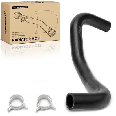 Lower Molded Radiator Coolant Hose with Clamp