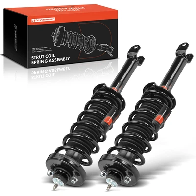 2 Pcs Rear Complete Strut & Coil Spring Assembly